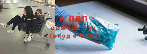 альфа пвп Бородино