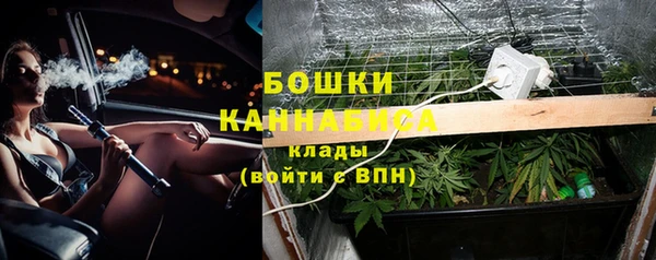 шишки Бугульма