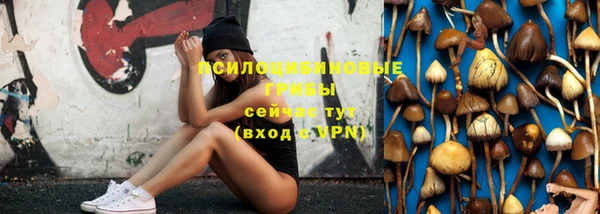 ГАЛЛЮЦИНОГЕННЫЕ ГРИБЫ Верхний Тагил