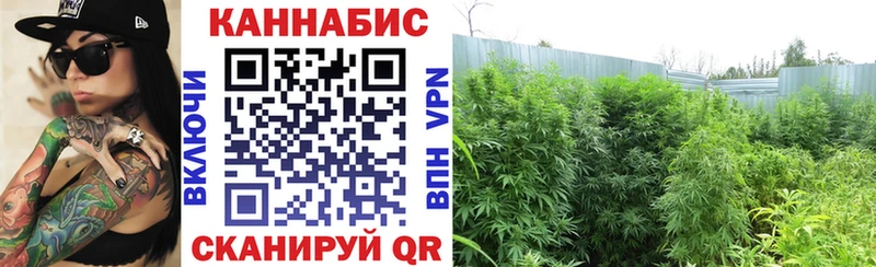 KRAKEN как войти  где продают наркотики  Калуга  Бошки марихуана конопля 